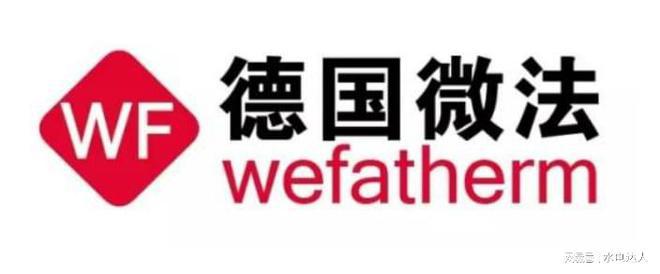 2025年德國進口管道誰是十大巨頭？你絕對想知道！(圖3)