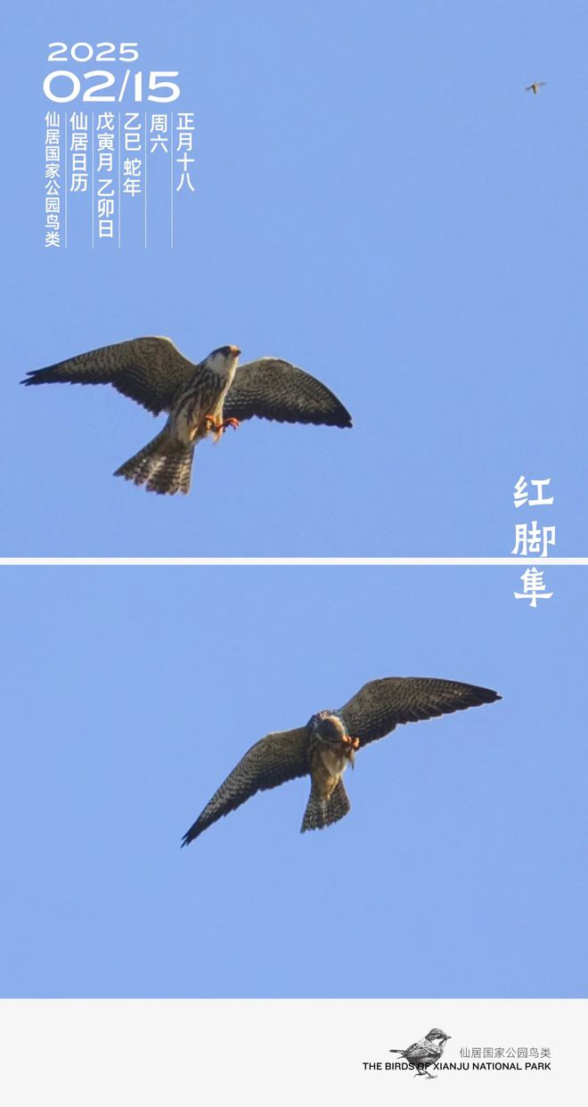 訂單滿生產(chǎn)忙！仙居企業(yè)奮戰(zhàn)“開門紅”(圖4)