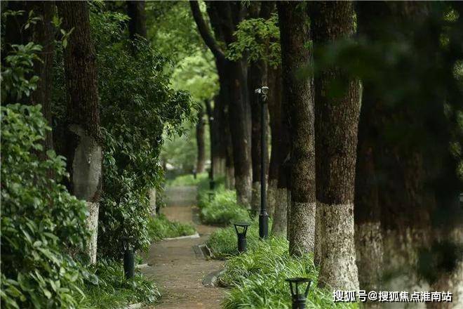 @中鷹黑森林 普陀中鷹黑森林官方售樓處發(fā)布：一生只搬一次家！(圖5)
