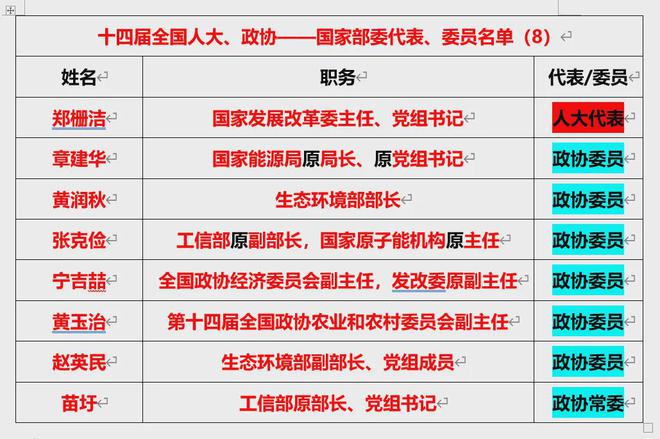 175名能源、電力領(lǐng)域兩會(huì)代表、委員全名單！(圖2)