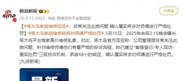 品牌觀察：處理爭(zhēng)議近4萬單啄木鳥整改仍未“啄”到核心